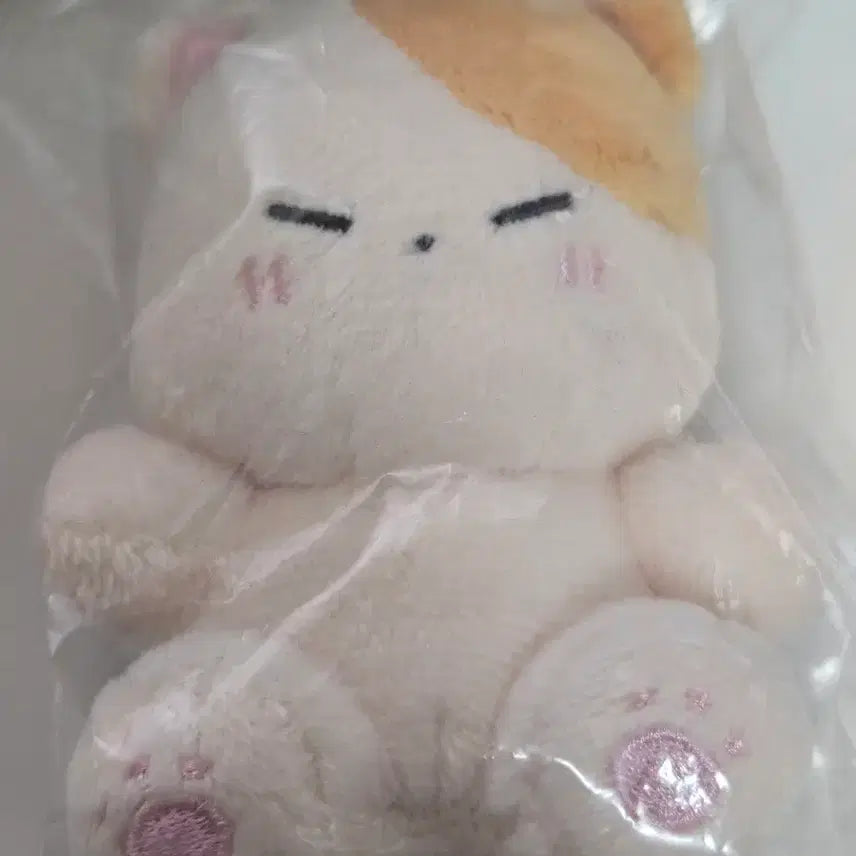 [BUNJANG] Infinite Sungkyu Kkyukong Doll / 인피니트 성규 인형 뀨콩 판매