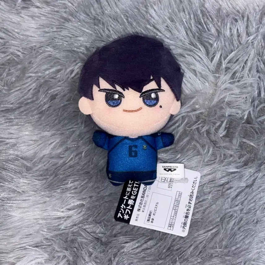 [BUNJANG] Blue Lock Karasu Tabito Chibi Plush / 블루록 카라스 타비토 치비구루미