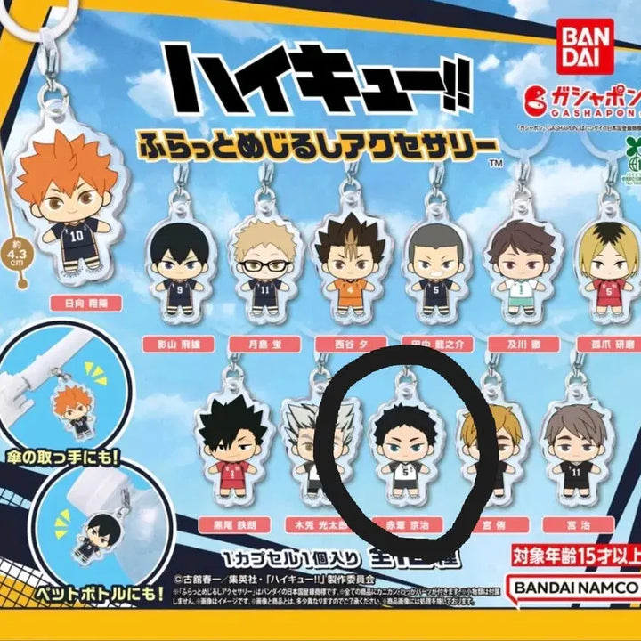 [BUNJANG] Bandai Haikyuu!! Kejirushi Akaashi Key Holder / 반다이 하이큐 메지루시 아카아시