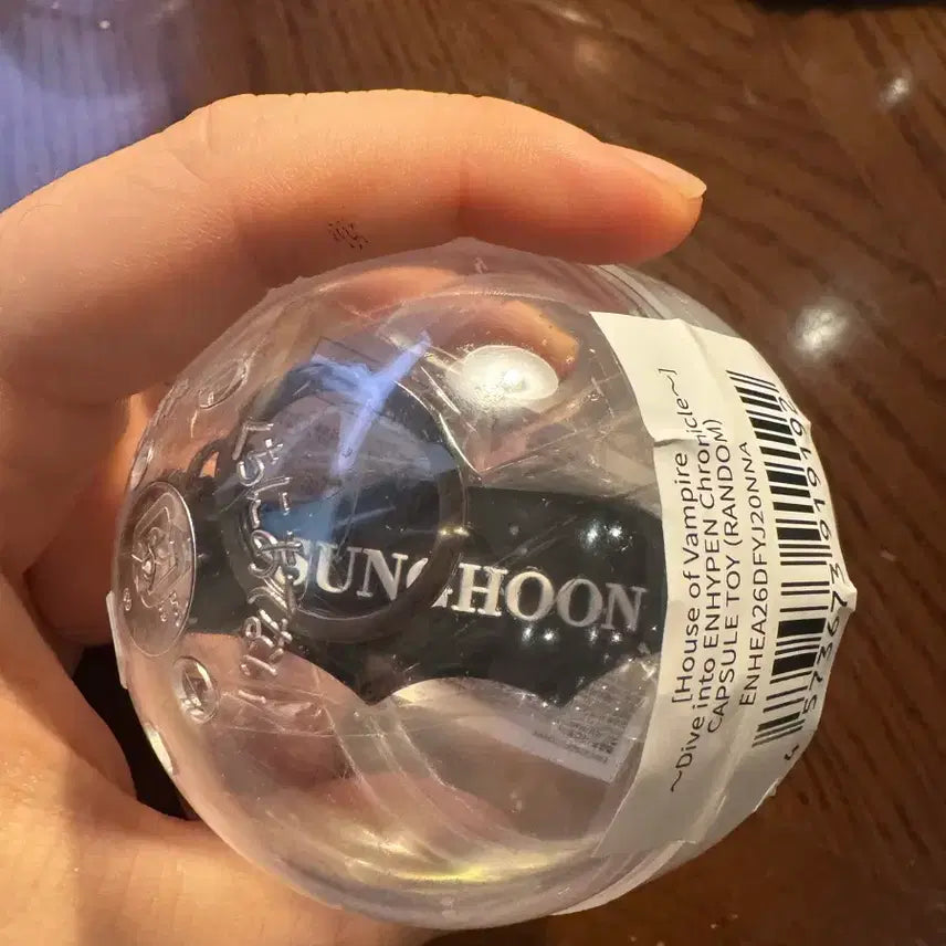 [BUNJANG] ENHYPEN Sunghoon Vampire House Capsule Toy Keychain / 엔하이픈 뱀파이어 하우스 캡슐 토이 성훈 키링