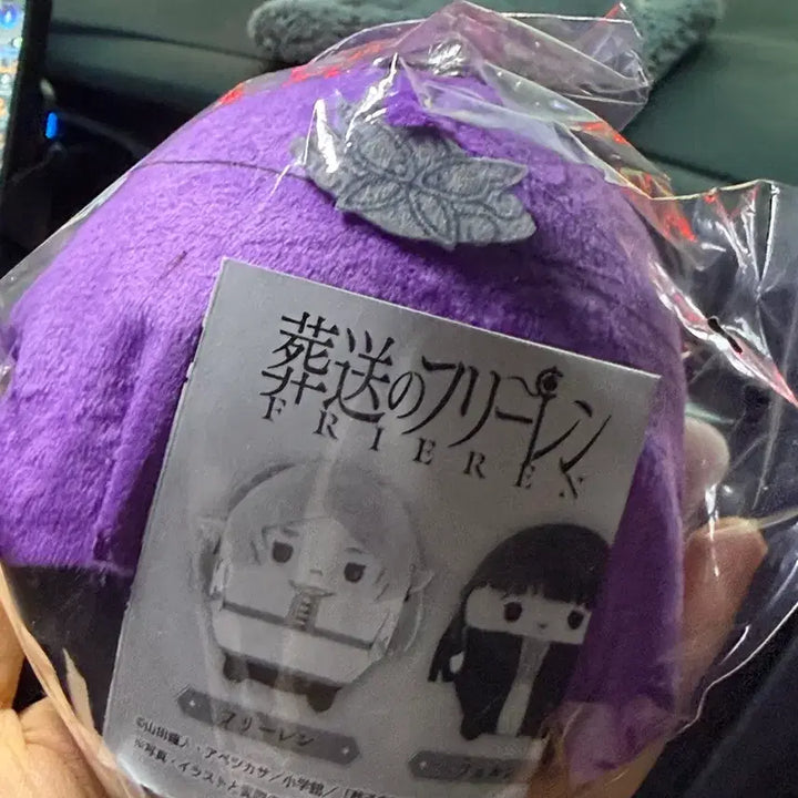 [BUNJANG] Frieren: Beyond Journey&