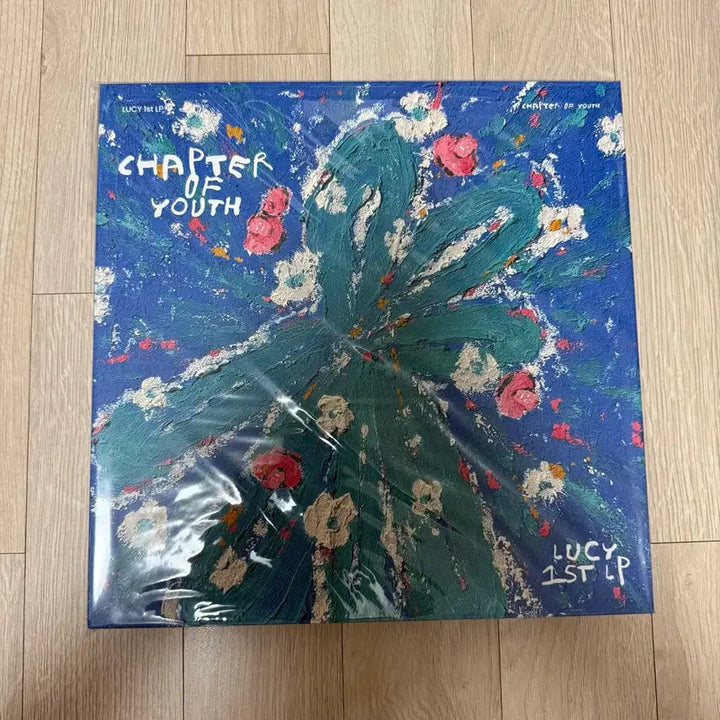 [BUNJANG] LUCY Chapter of Youth LP (Unsealed) / 루시 Chapter of youth LP (개봉반)