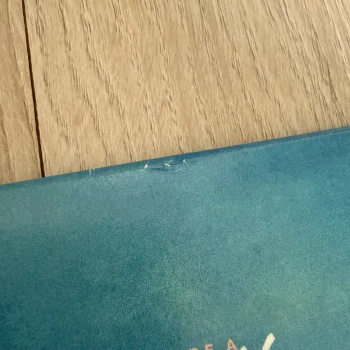 [BUNJANG] Troye Sivan Blue Neighbourhood LP (Black, Unsealed) / 트로이시반 Blue Neighbourhood LP (블랙/개봉반)