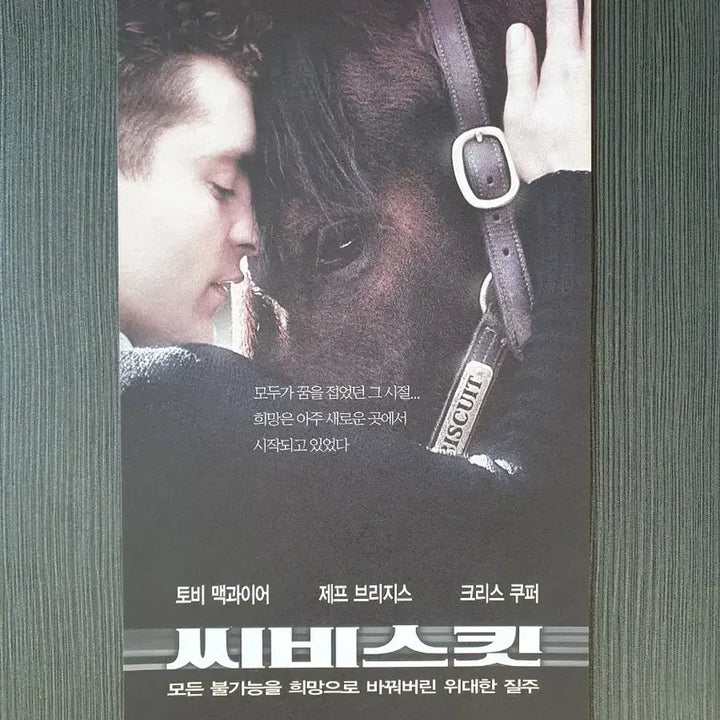[BUNJANG] Seabiscuit Movie Flyer Pamphlet / 씨비스킷 영화 전단지 팜플렛