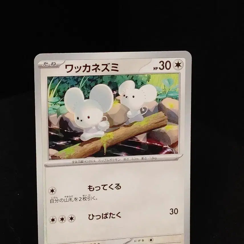 [BUNJANG] Japanese Edition Spinarak Rare Illustration Pokemon Card / 포켓몬카드)일판 두리쥐 희귀일러!!