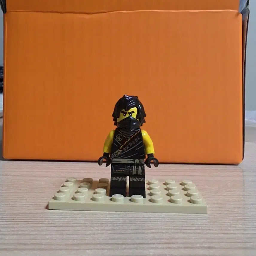 [BUNJANG] LEGO Ninjago Cole Legacy / 레고 닌자고 콜 레거시
