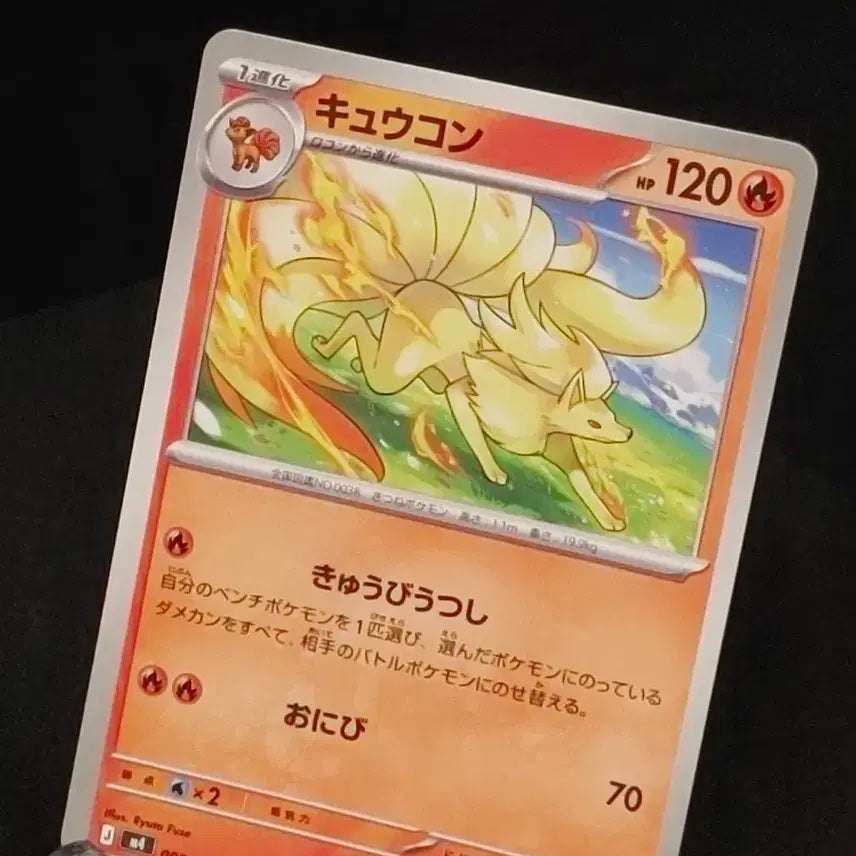 [BUNJANG] Japanese Ninetales (Rare Illustration) Pokémon Card / 포켓몬카드) 일판 나인테일 희귀일러