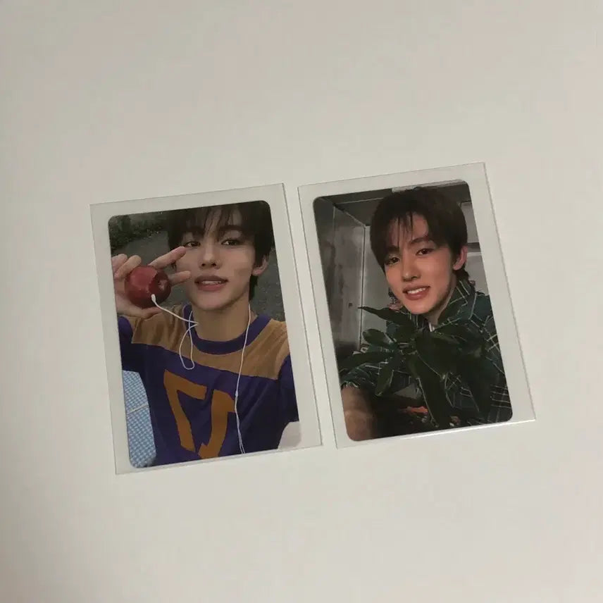 [BUNJANG] Cortis Sung Hyun Bundle Set Photocard / (일괄) 코르티스 성현 포토카드 포카
