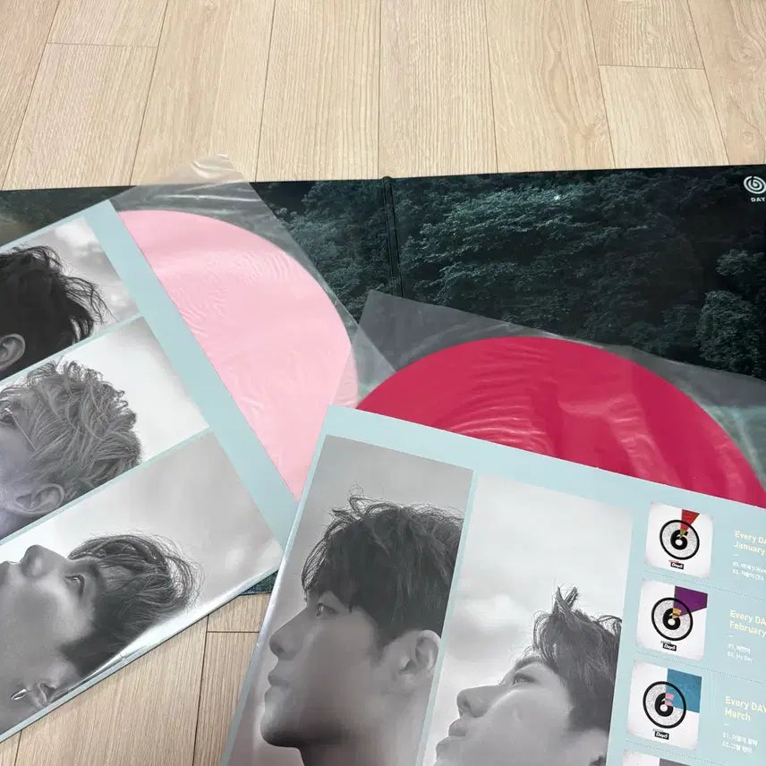 [BUNJANG] Day6 Sunrise LP (Pink/Hot Pink Split, Unsealed) / 데이식스 선라이즈 LP (연핑핫핑 반반/개봉반)