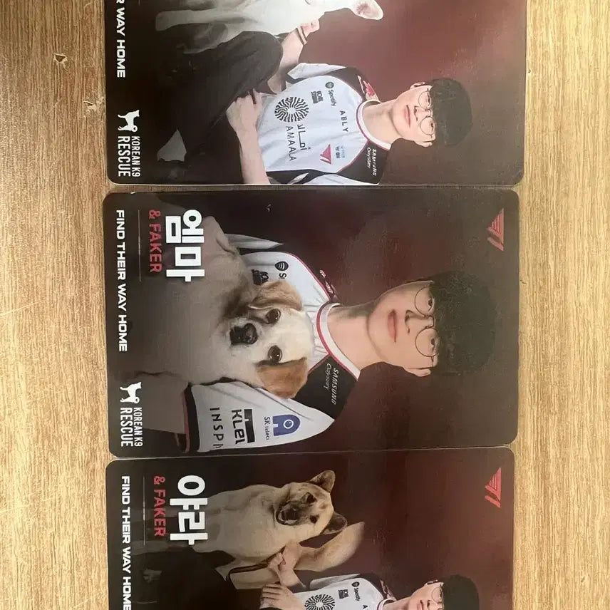 [BUNJANG] T1 Faker Homeground KK9R Photocard 3-Set / 티원 홈그라운드 KK9R  포카 3종 세트(페이커)