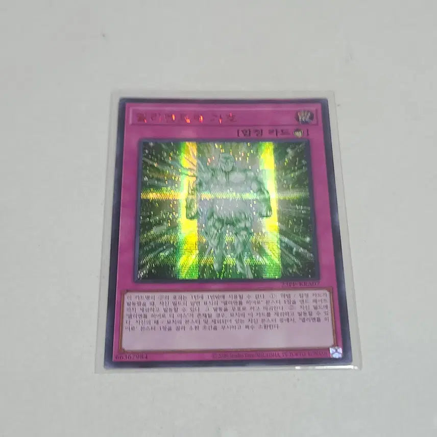 [BUNJANG] Yu-Gi-Oh! Element&