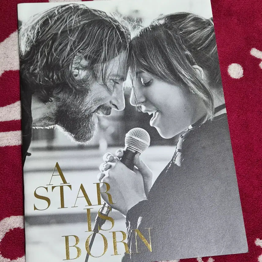 [BUNJANG] Staz Born Japanese Paid Pamphlet / 스타이즈본 일본 유료 팜플렛 판매해요!