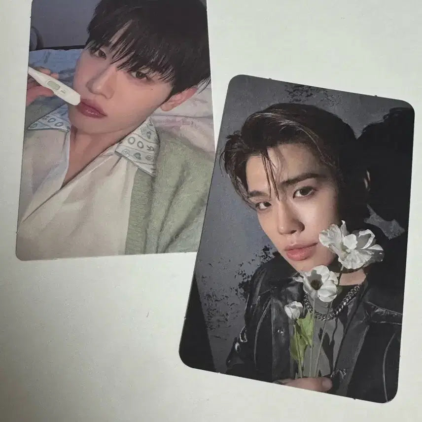 [BUNJANG] Kim Tae Rae Photocard Bundle Set / (일괄) 김태래 포카