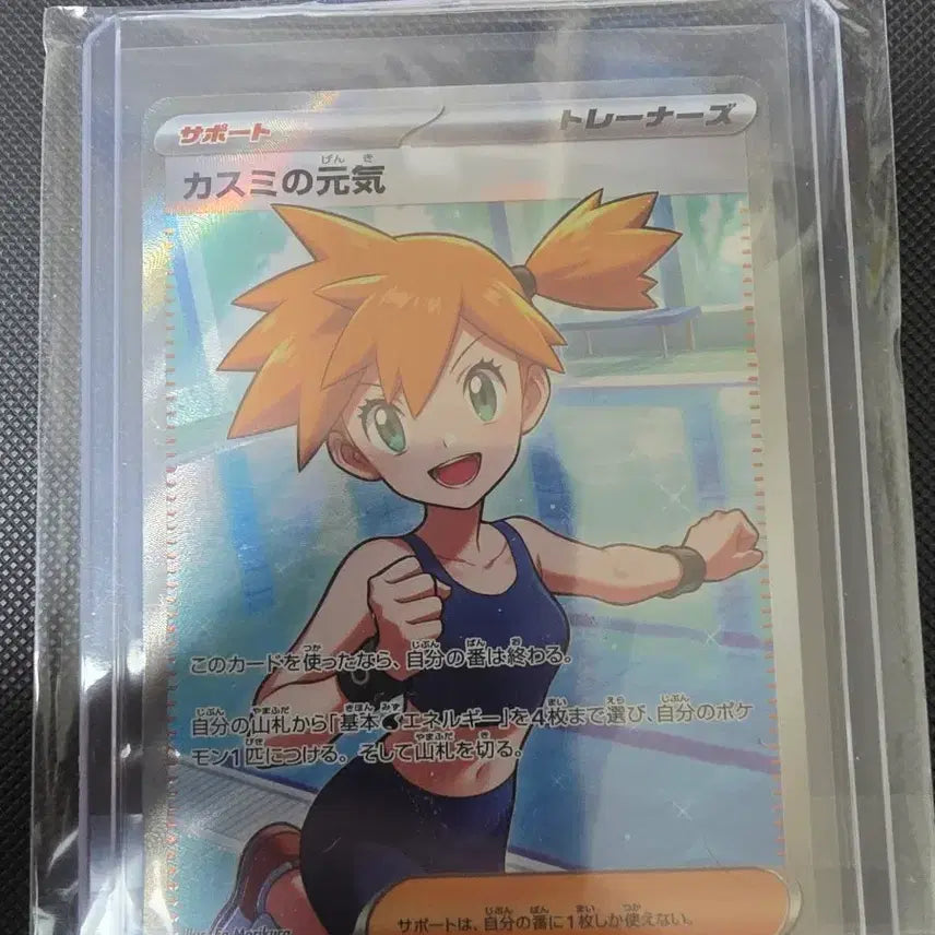 [BUNJANG] Pokémon Card Japanese Isely&
