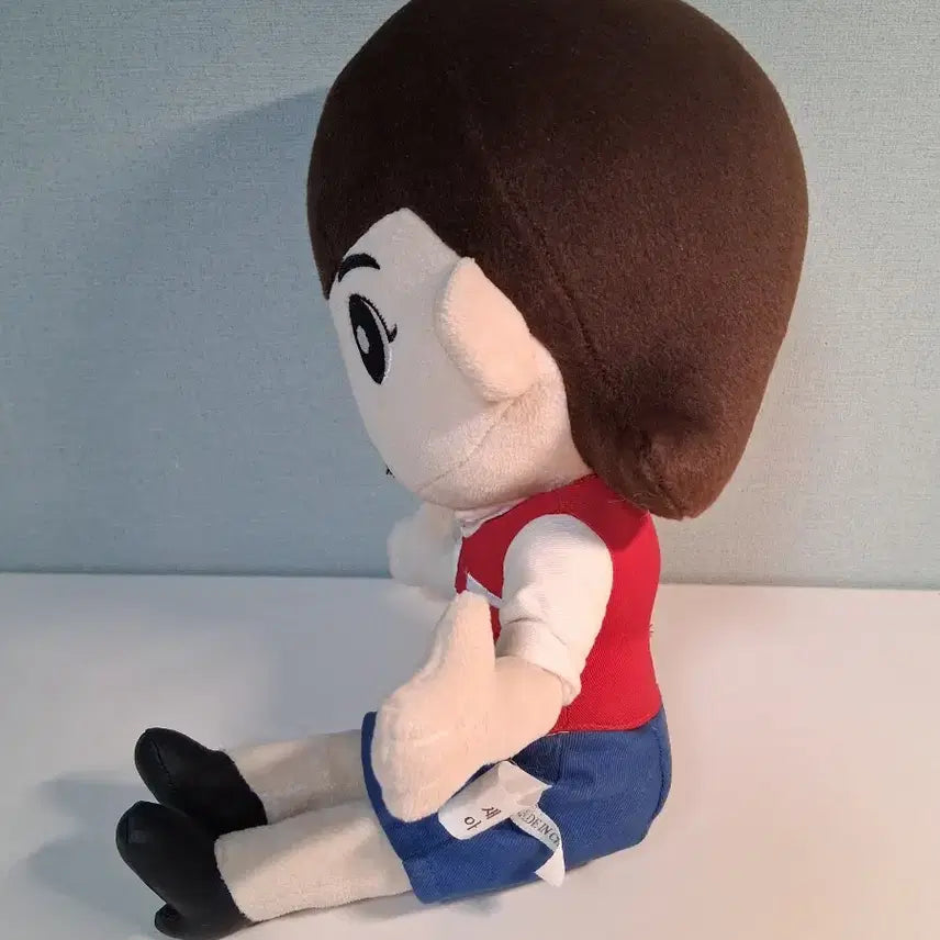 [BUNJANG] Kudooil Daegu Bank Mascot Doll / 구도일  대구은행 인형