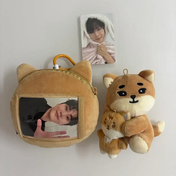 [BUNJANG] Day6 Denimals Na-ah Cat + Lil&