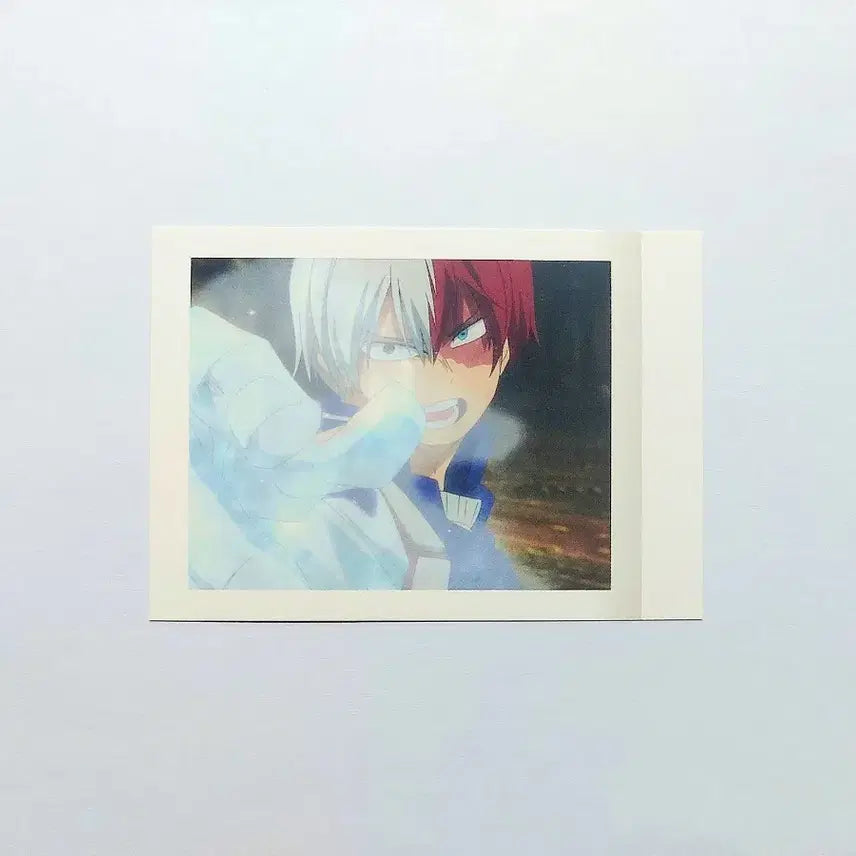 [BUNJANG] My Hero Academia Todoroki Shoto Pasa Card / 나의히어로아카데미아 나히아 토도로키 쇼토 파샤