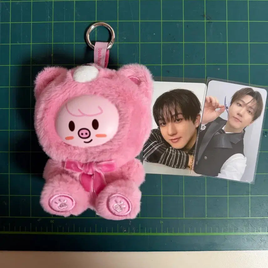 [BUNJANG] Stray Kids SKZOO Dwaekki Plush / 스키즈 스키주 슼부부 돼끼