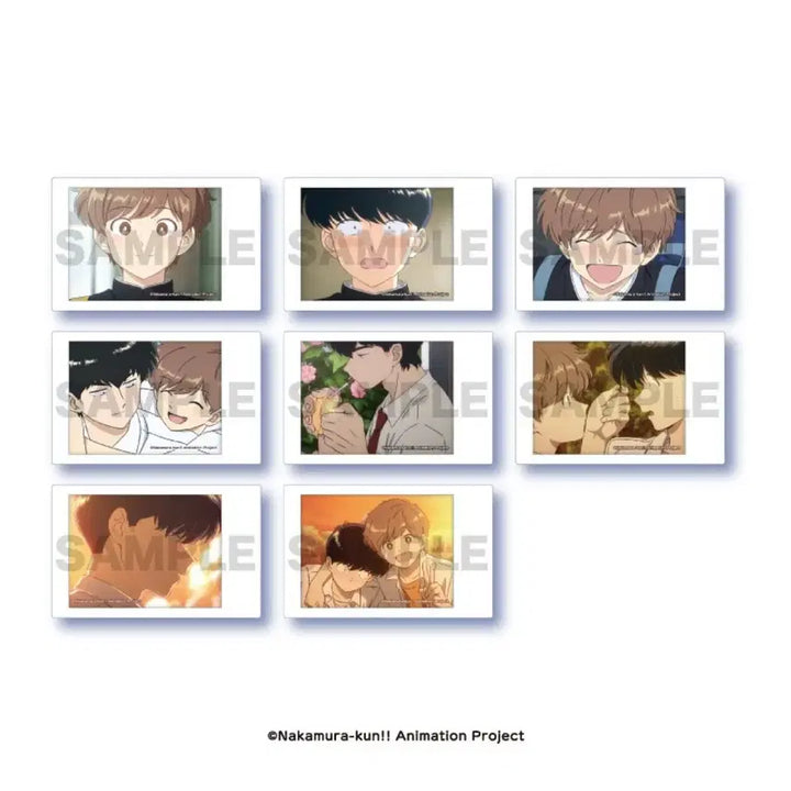 [BUNJANG] Nakamura Kun Trading Instant Photo Film Full Set (8 Types) / 힘내라! 나카무라 군!! 트레이딩 인스턴트 포토 필름 전 8종 일괄