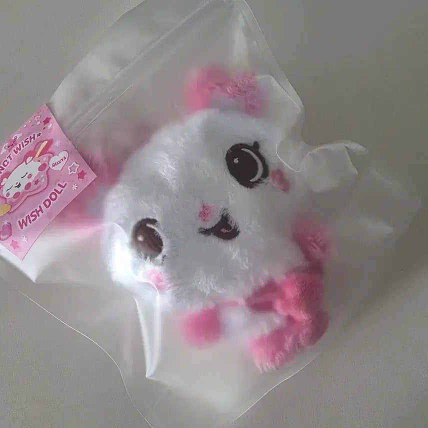 [BUNJANG] NCT WISH Wish Doll Pangyi Photocard (Sealed) / 엔시티위시 nctwish 위시돌 wishdoll 팡이 미개봉