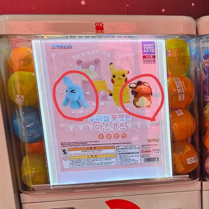 [BUNJANG] Pokemon Starlight Paradise Gacha Figure (Maz &amp; Dedenne) / 포켓몬 별빛낙원 가챠(우리집 포켓몬: 마자,데덴네)