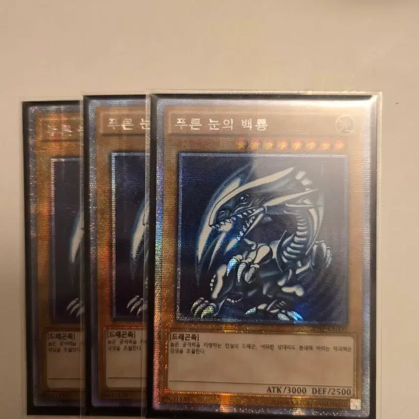[BUNJANG] Yu-Gi-Oh! Blue-Eyes White Dragon 20AP Set of 3 / 유희왕 푸른 눈의 백룡 20AP 3장