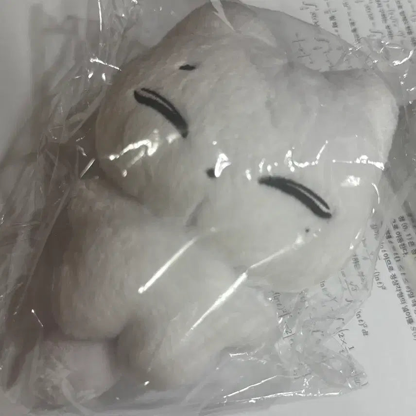 [BUNJANG] ENHYPEN Sunoo CatDoll Plush / 엔하이픈 선우 인형 캣떠니