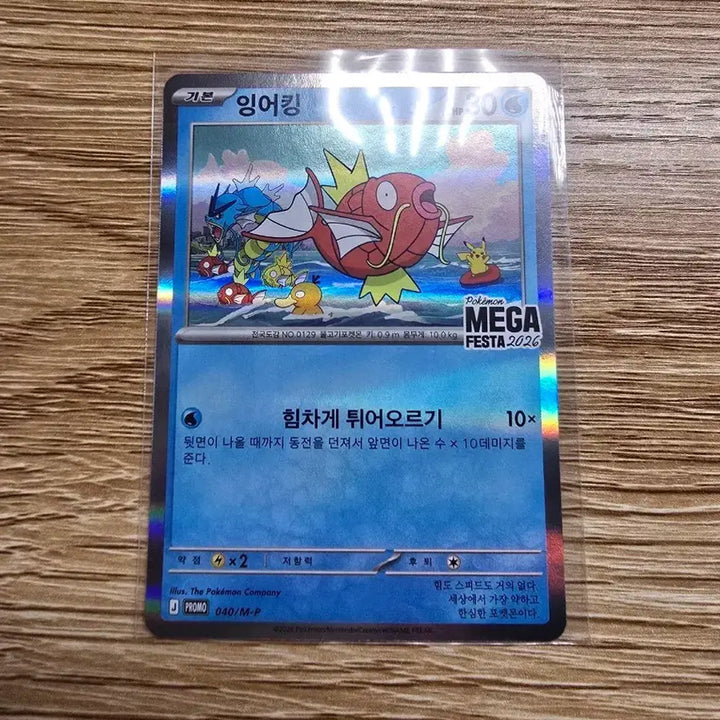 [BUNJANG] Magikarp Photocard Holder / 잉어킹 프로모
