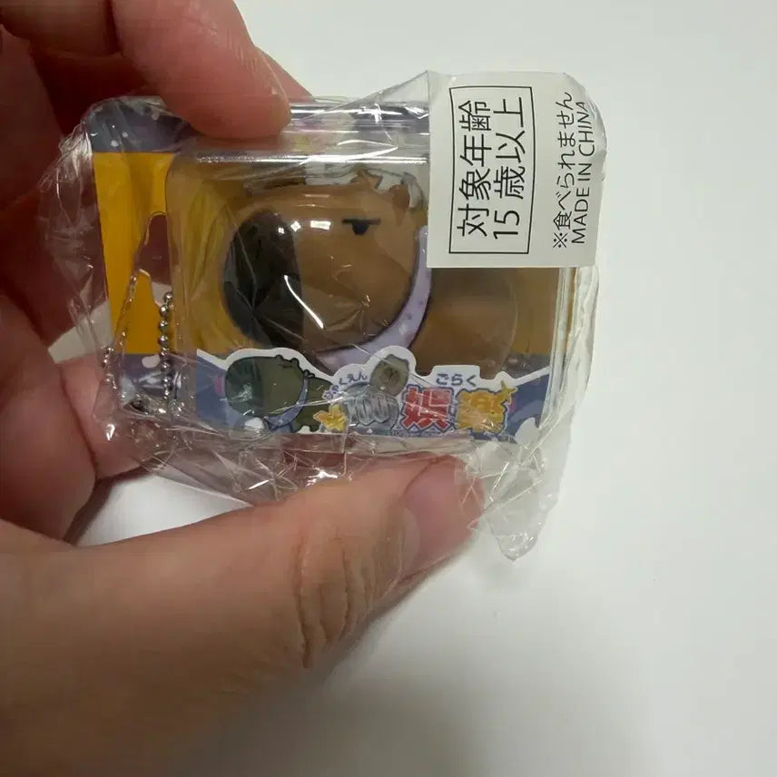 [BUNJANG] Rainbow Entertainment Capybara Gacha Figure / 레인보우 100엔 엔터테인먼트  카피바라 가챠 판매