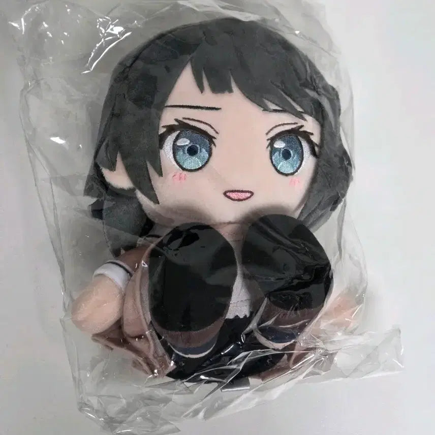 [BUNJANG] BanG Dream! Aiba Yumi School Uniform Nui / 뱅드림 아베무지카 우미리 교복 누이