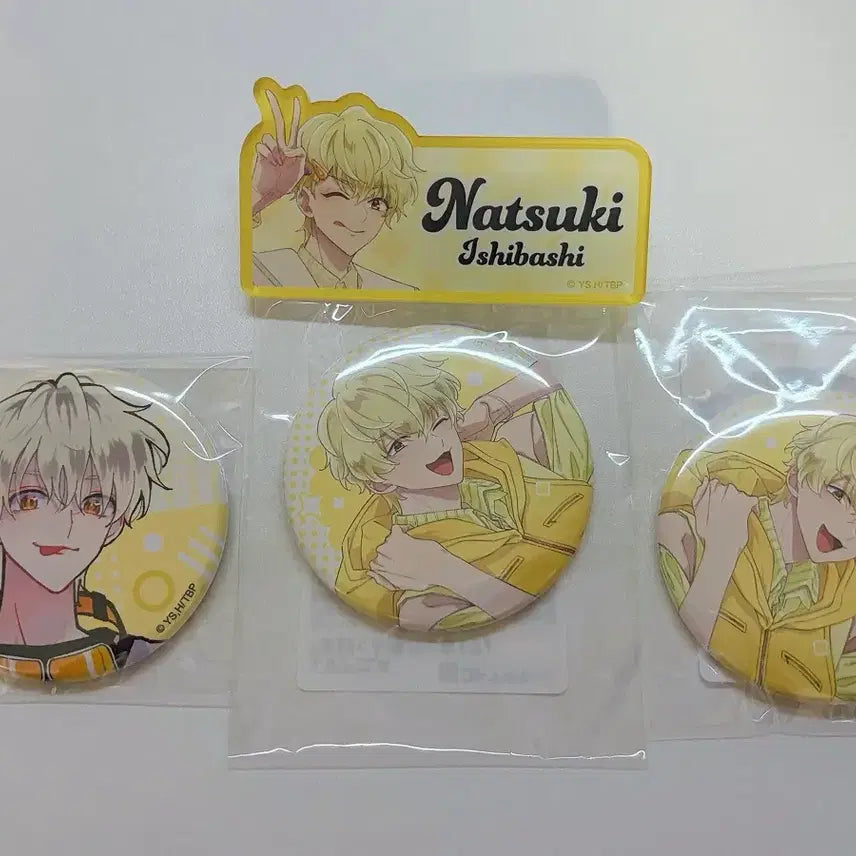 [BUNJANG] Tamon-kun Natsuki Name Badge Bundle Set / 타몬군 지금 어느쪽 나츠키 이름뱃지 캔뱃지 일괄