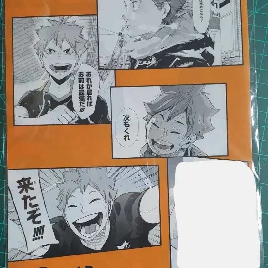 [BUNJANG] Haikyuu!! Hinata Shoyo Original Drawing Clear File / 하이큐 히나타 쇼요 원화 클리어 파일