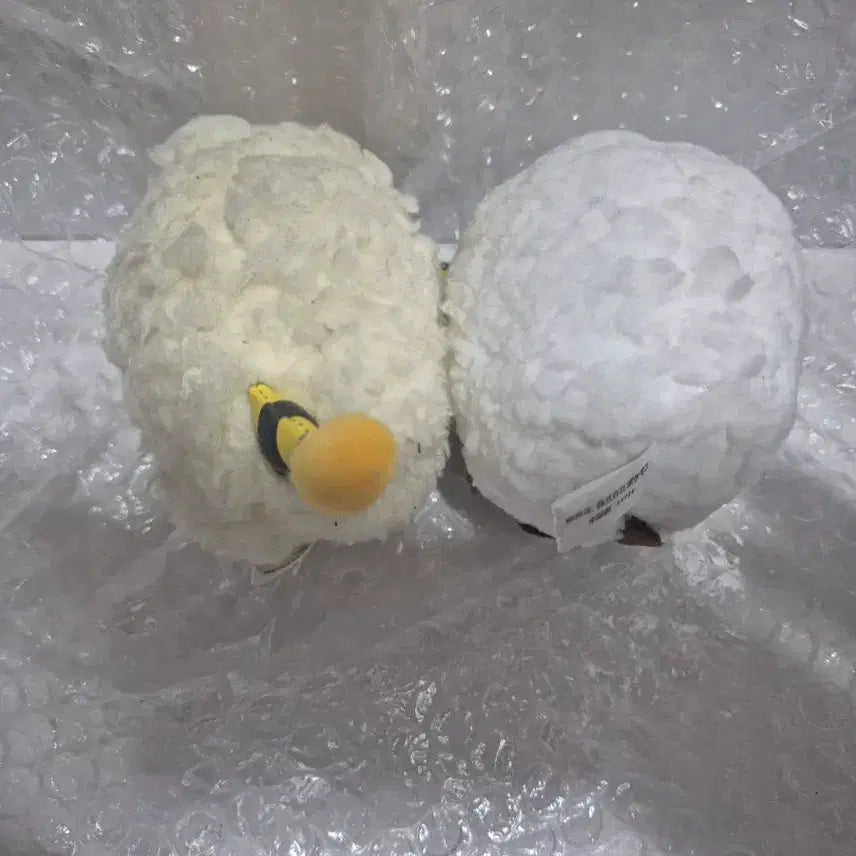 [BUNJANG] Pokemon Petit Monster Ball Dolls Set / 포켓몬 쁘띠 몬스터볼 인형 2종 일괄
