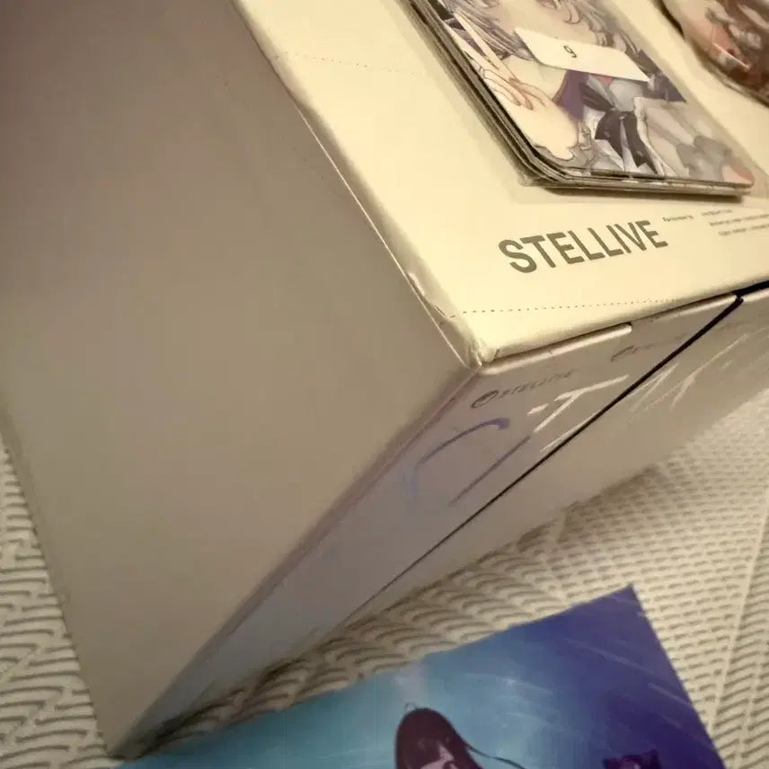 [BUNJANG] Stellive Album Bundle Set (Includes Rize Can Badge) / 스텔라이브 앨범 일괄 (리제 캔뱃지 서비스)