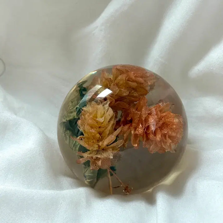 [BUNJANG] HAFORD Resin Pressed Flower Paperweight / 하포드 문진