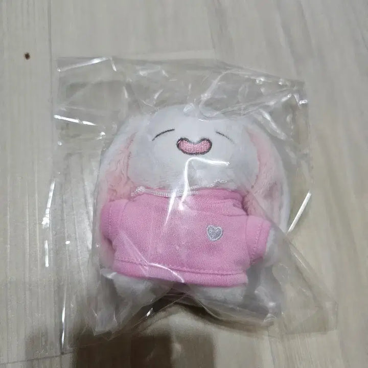 [BUNJANG] Hoodie Pooh Park Bo Young Keyring (Sealed) Photocard Included / 후드뽀유 박보영 키링 미개봉 포카 포함