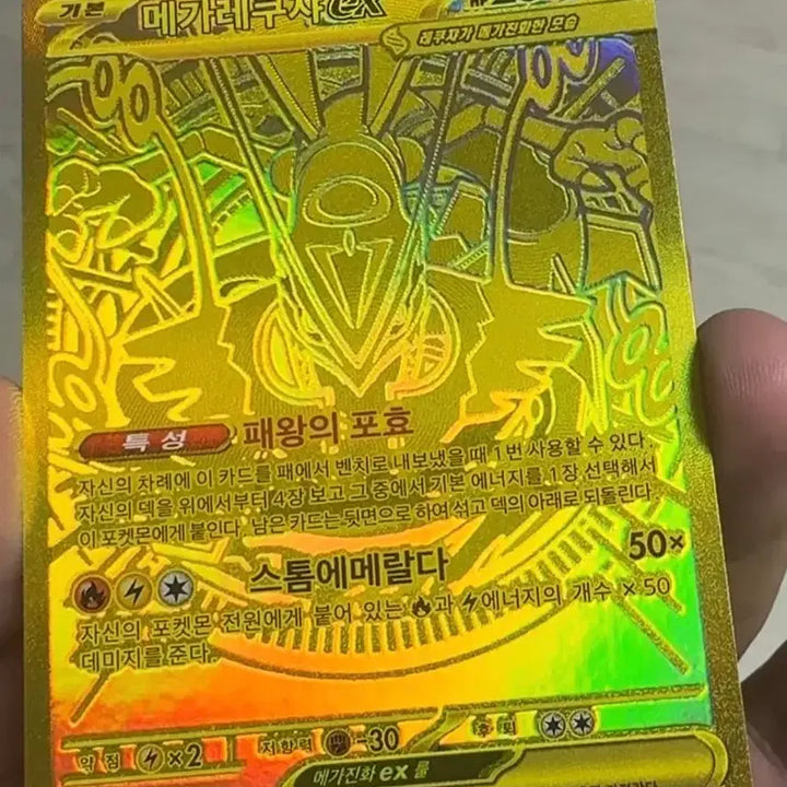 [BUNJANG] Mega Rayquaza Mur Card Holder / 메가레쿠쟈 MUR