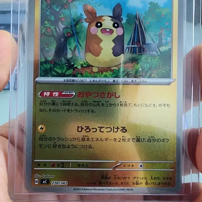 [BUNJANG] Pokemon Cards Morpeko, Pichu, Cubone Bundle Set / 포켓몬카드 모르페코,피츄,탕구리 등 일괄(가격제시)
