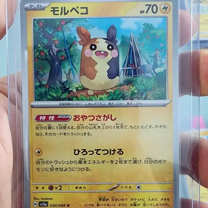[BUNJANG] Pokemon Cards Morpeko, Pichu, Cubone Bundle Set / 포켓몬카드 모르페코,피츄,탕구리 등 일괄(가격제시)