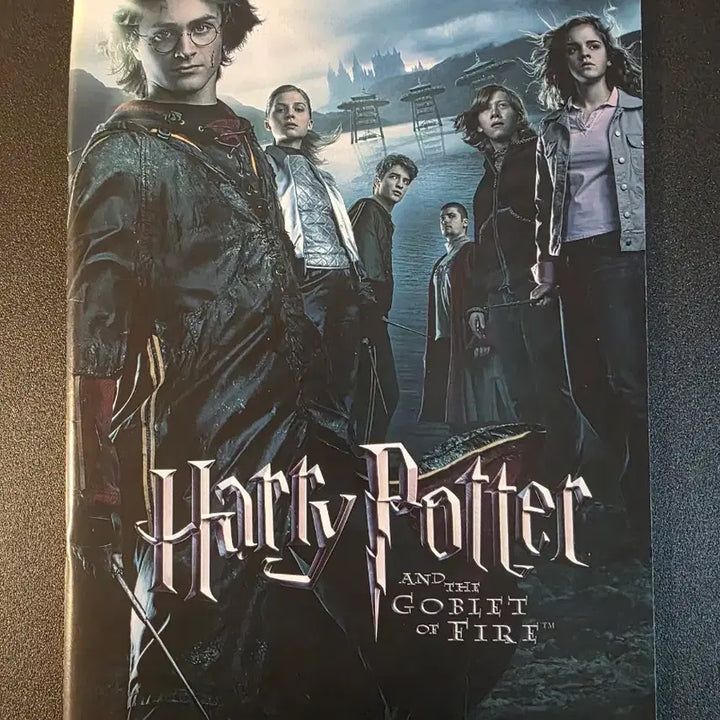 [BUNJANG] Harry Potter and the Goblet of Fire Japanese Paid Pamphlet (2005) / [영화팜플렛] 해리포터와 불의 잔 일본 유료팜플렛 (2005)