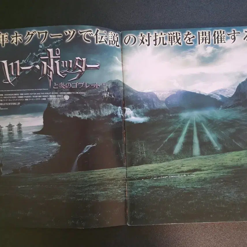 [BUNJANG] Harry Potter and the Goblet of Fire Japanese Paid Pamphlet (2005) / [영화팜플렛] 해리포터와 불의 잔 일본 유료팜플렛 (2005)