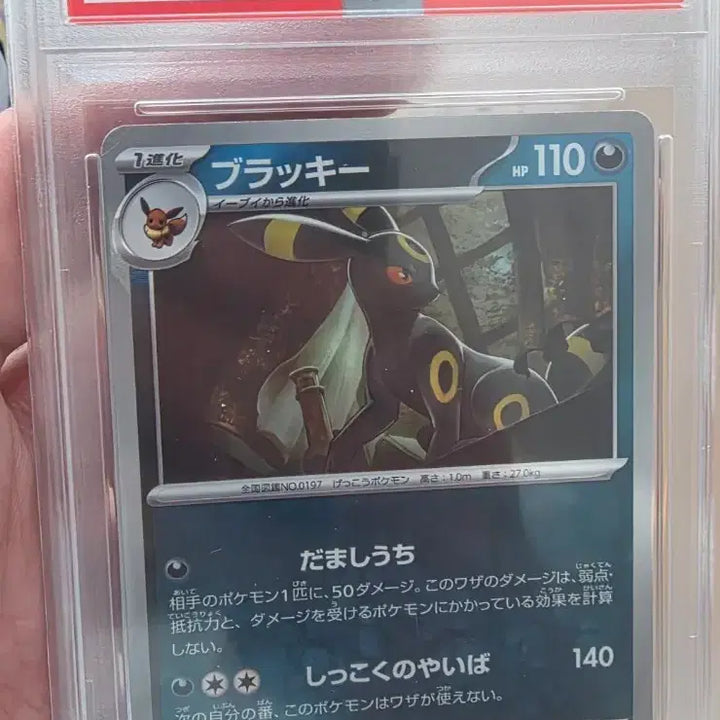 [BUNJANG] Umbreon Master Ball Reverse Holo Pokémon Card (PSA 10) / 일판 블래키 마스터볼 paa10