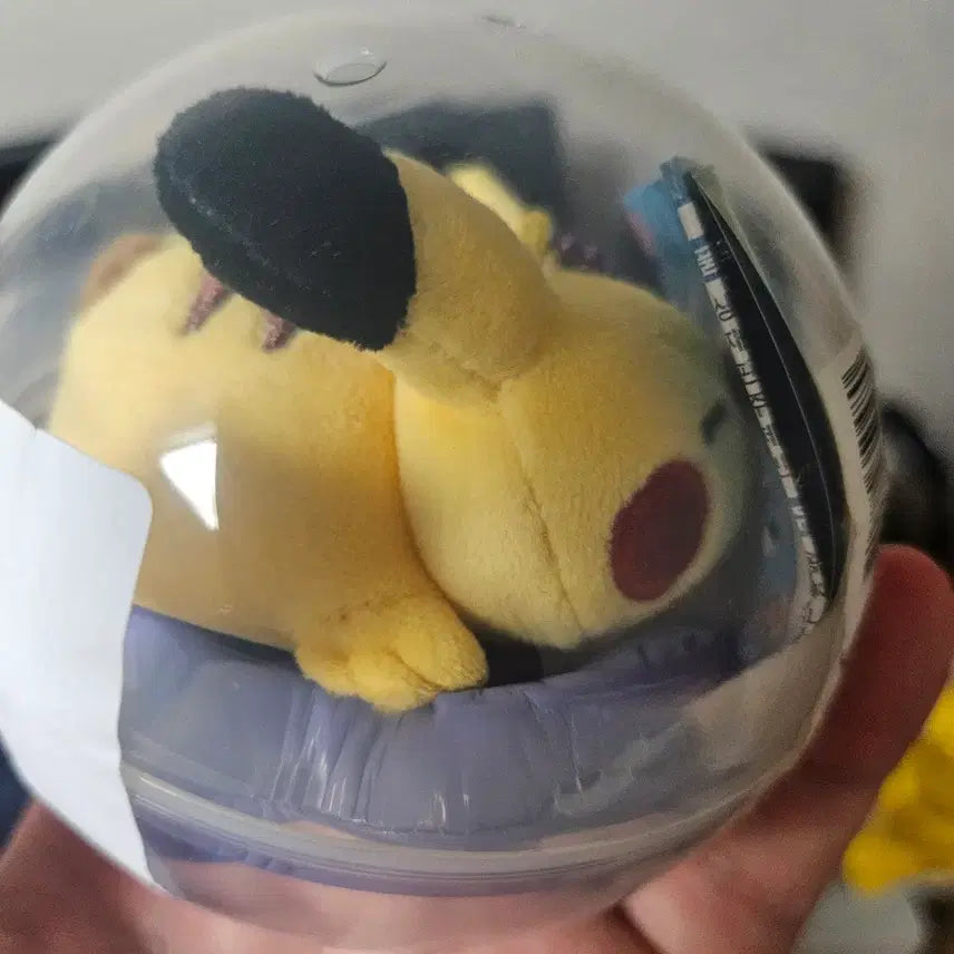 [BUNJANG] Pokemon Busan Pop-up Tube Mascot Collection Pikachyu Figure / 포켓몬스터 부산 팝업 튜브 마스코트 컬렉션 캡슐토이 피카츄 팝니다