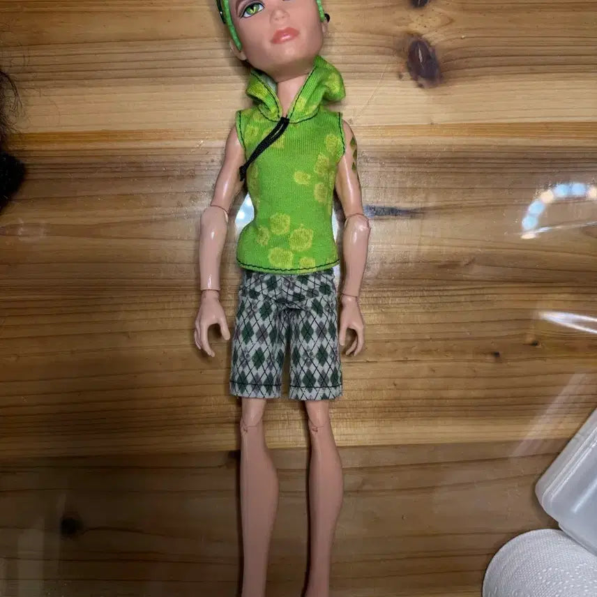 [BUNJANG] Monster High Deuce Gorgon Doll / 몬스터하이 듀스 고르곤