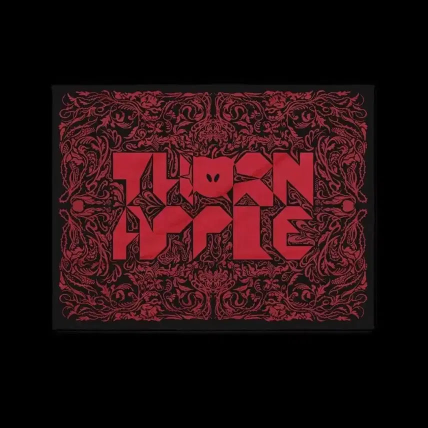 [BUNJANG] Ssion Apple Concert Blanket / 쏜애플 담요 미개봉