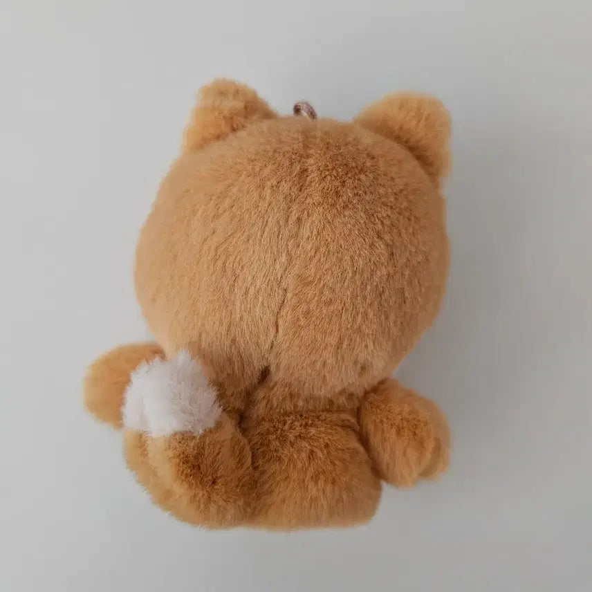 [BUNJANG] DAY6 Petit Merz Plush Finger Mascot / DAY6 데이식스 쁘띠멀즈 플러시 핑거 케