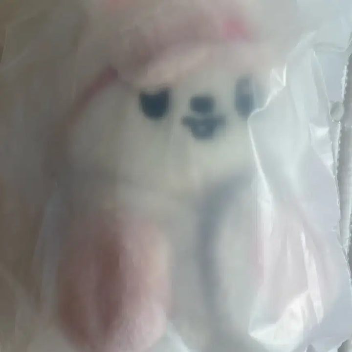 [BUNJANG] Stray Kids SKZOO Little Hopper Ribbit Plush / 스트레이키즈스키즈스키주콩키주리틀하우스리빗