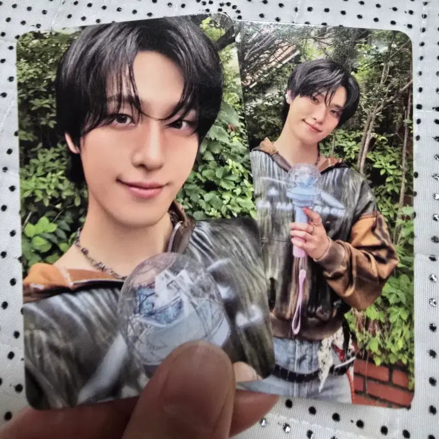 [BUNJANG] 2026 Dino x Pitsurin Concert Carat Zone Photocard / 2026 디노X피철인 콘서트 캐럿존 포카 양도