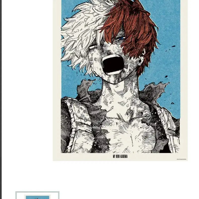 [BUNJANG] My Hero Academia Shonen Jump Shop Todoroki Poster / 나의히어로아카데미아 진보초 점프샵 토도로키 포스터 미개볼
