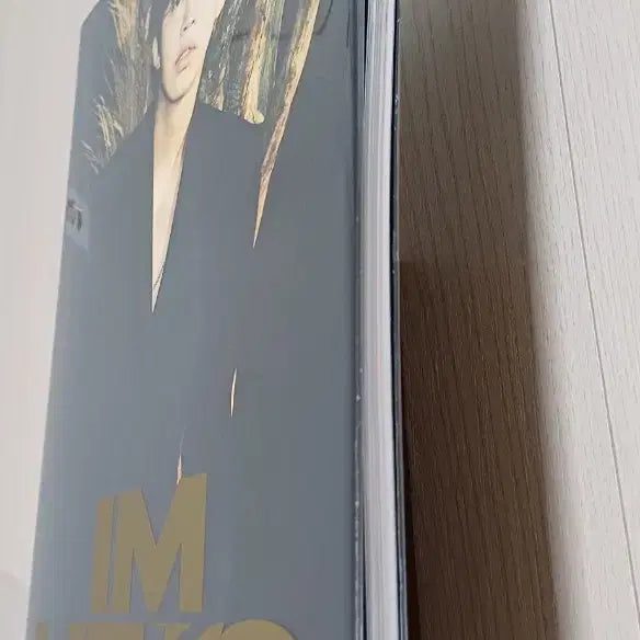 [BUNJANG] Im Young Woong IM HERO Photobook CD Set / 임영웅 IM HERO 포토북 CD 포함